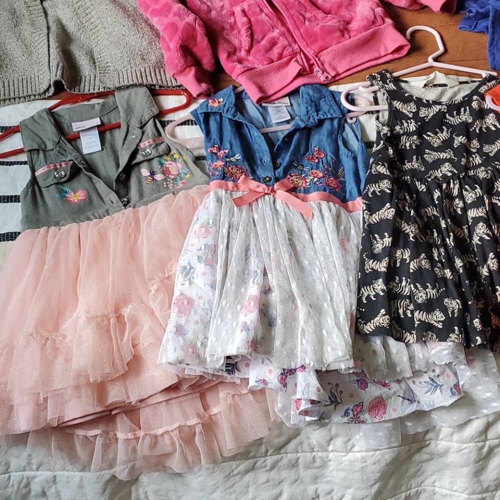 (17 items)girls 2T lot
